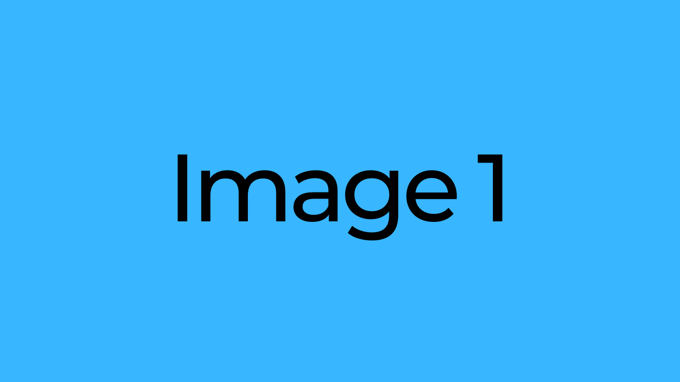 Image 1