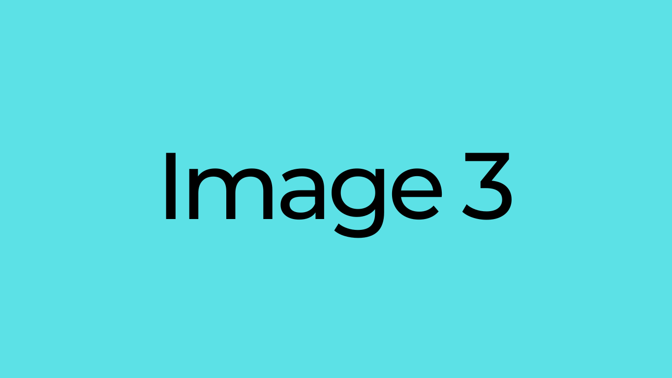 Image 3